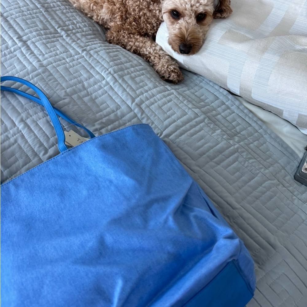 Talbots Sky Blue Tote Bag - Picture 6 of 8